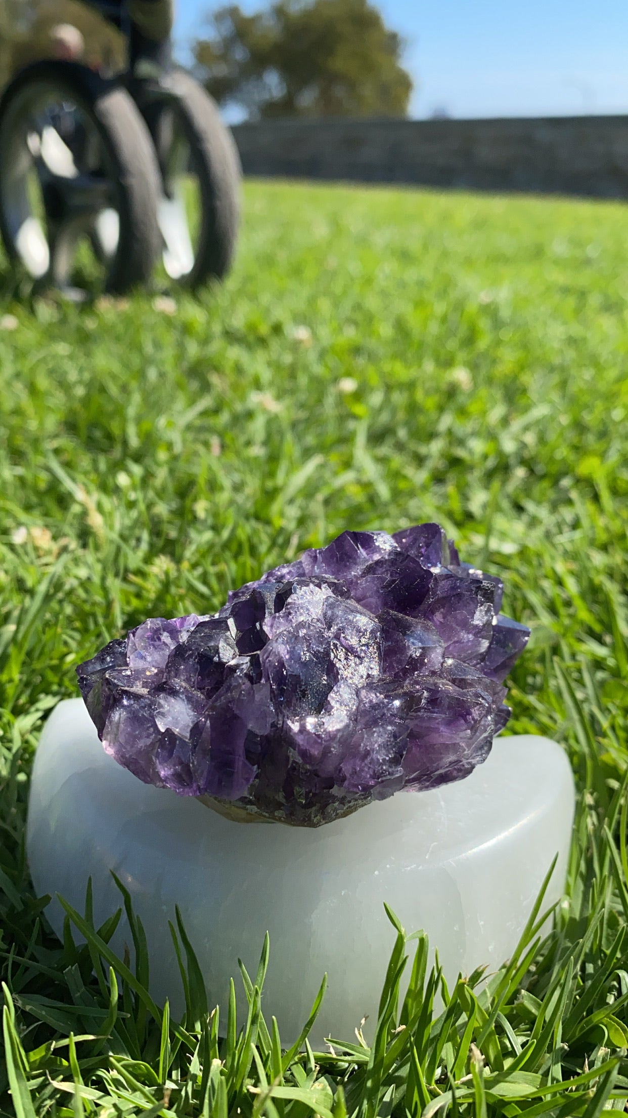 Amethyst Double Flower