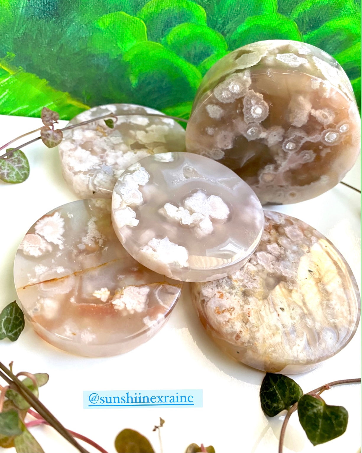 Flower Agate Discs