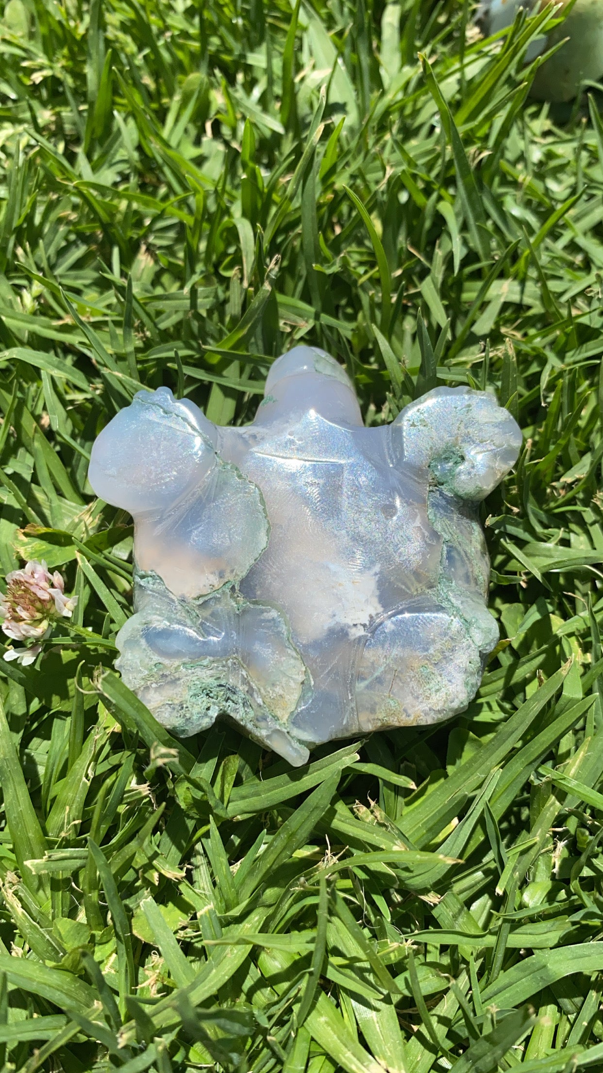 Mossy Agate Turtle