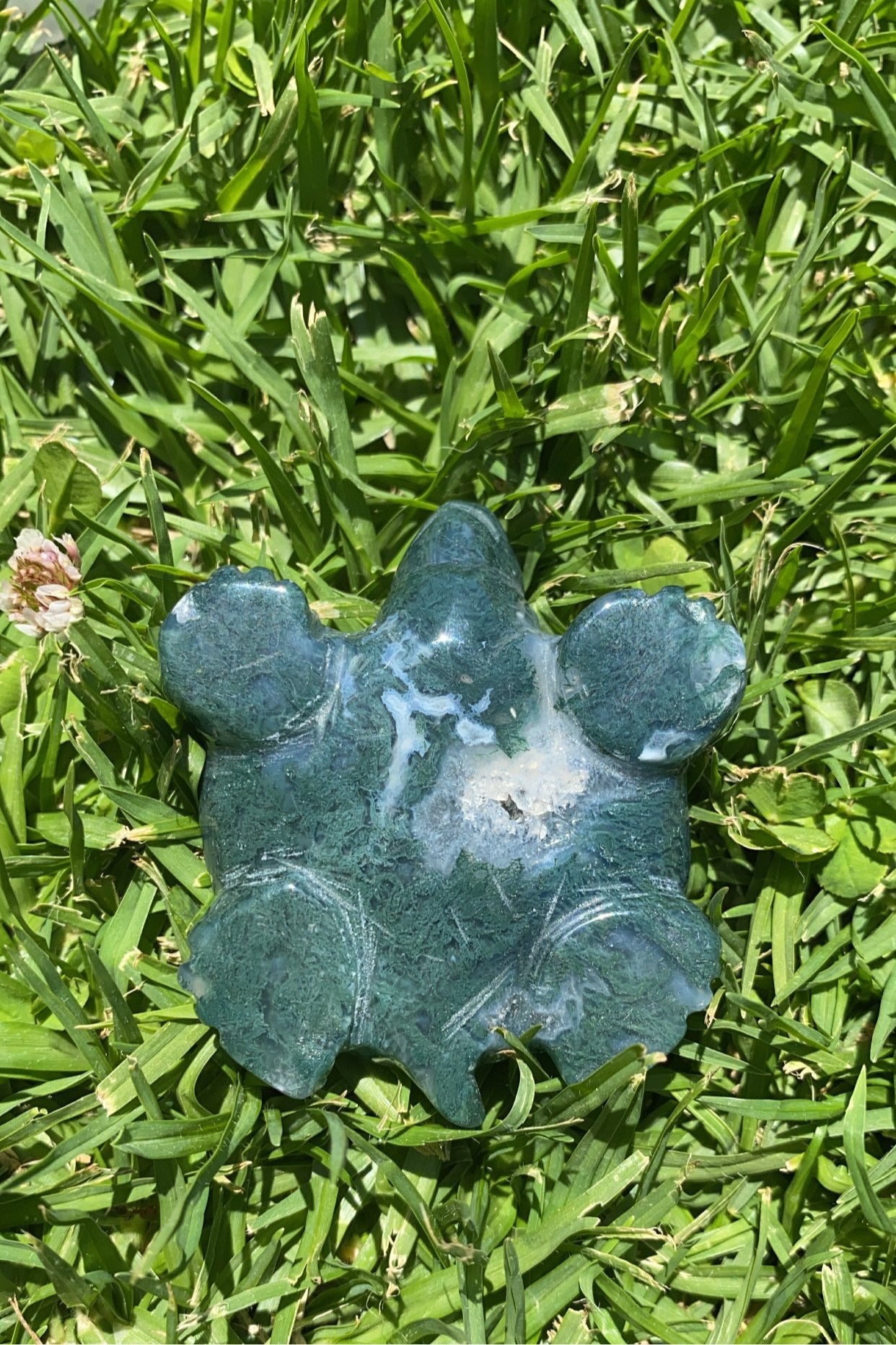 Mossy Agate Turtle