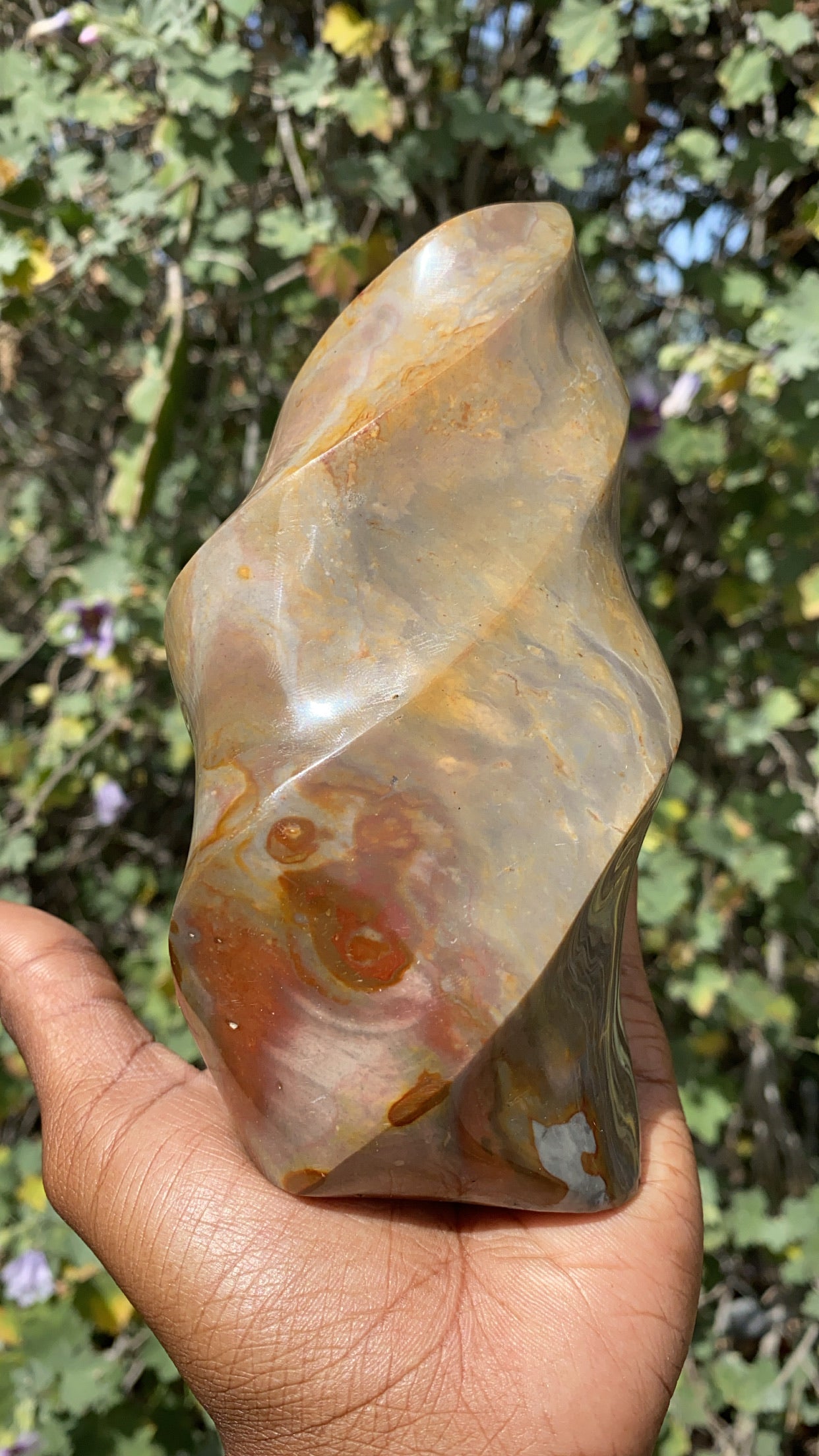 Ocean Jasper