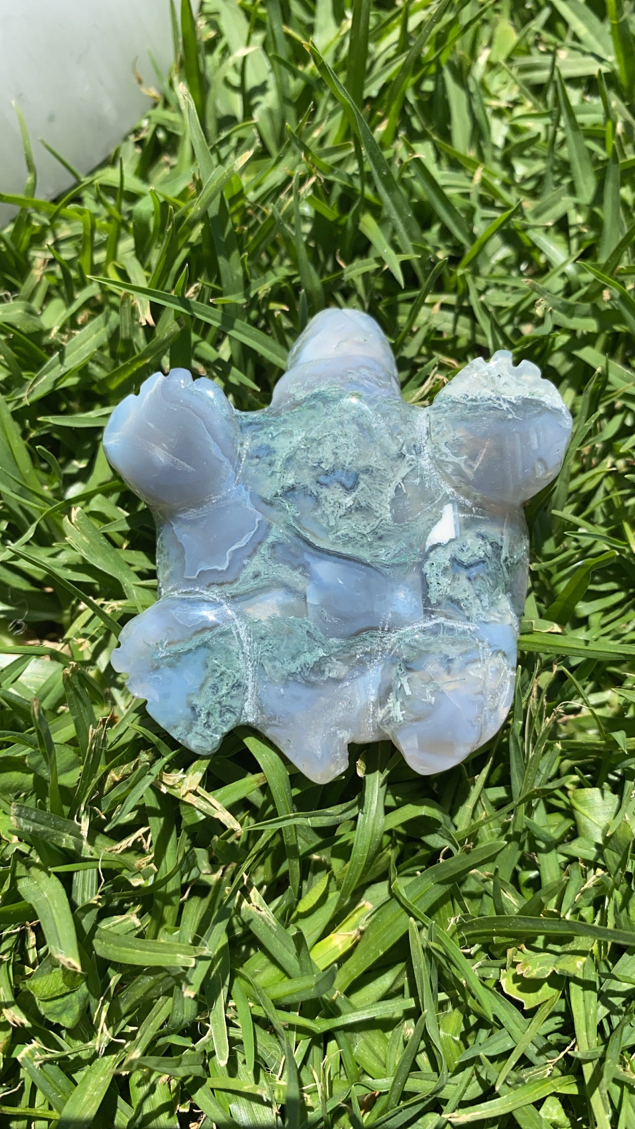 Mossy Agate Turtle
