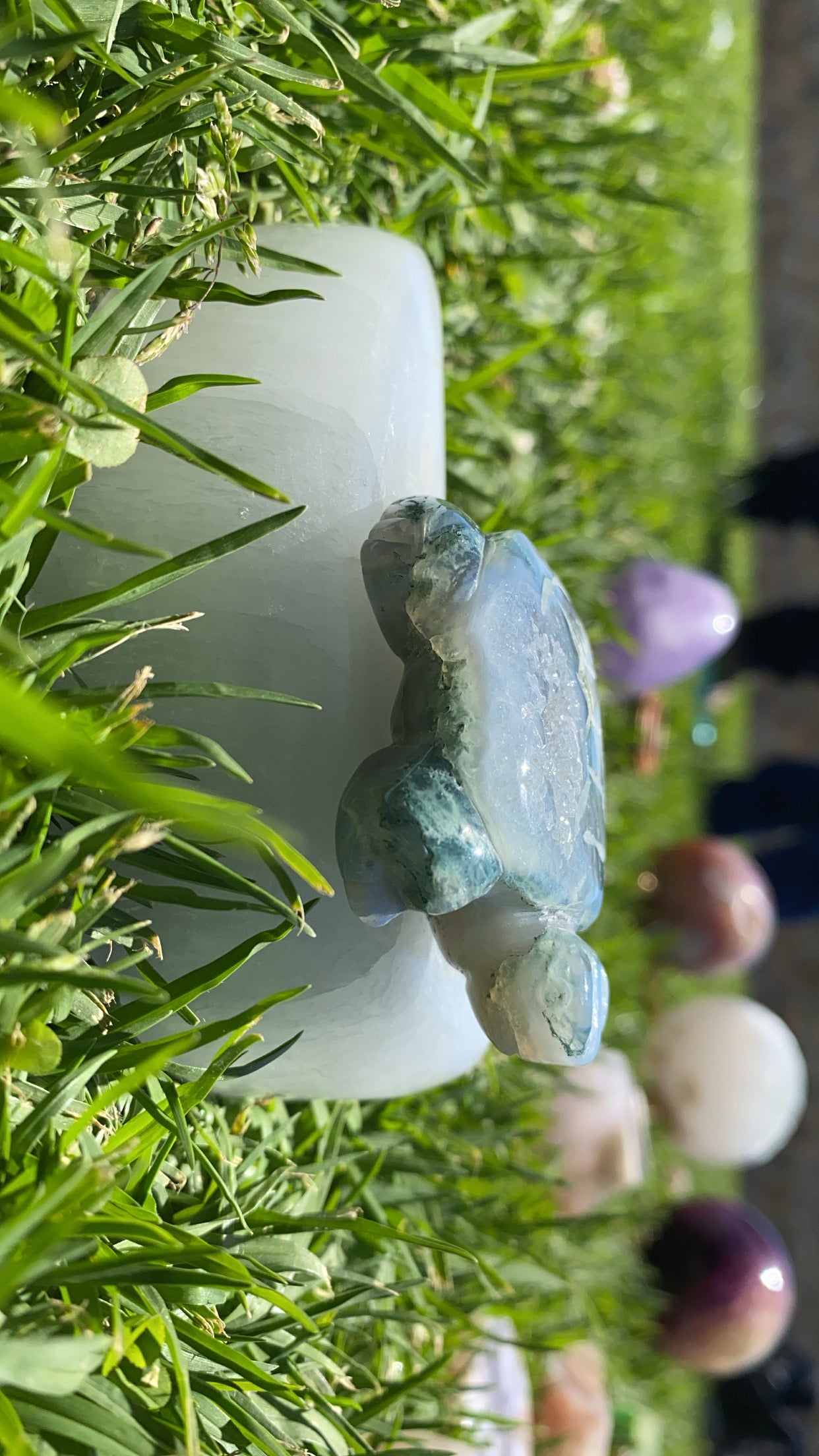 Mossy Agate Turtle