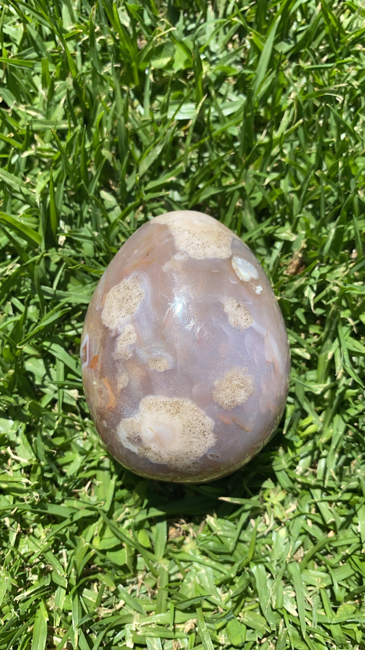 Druze Agate “Dragon” Eggy