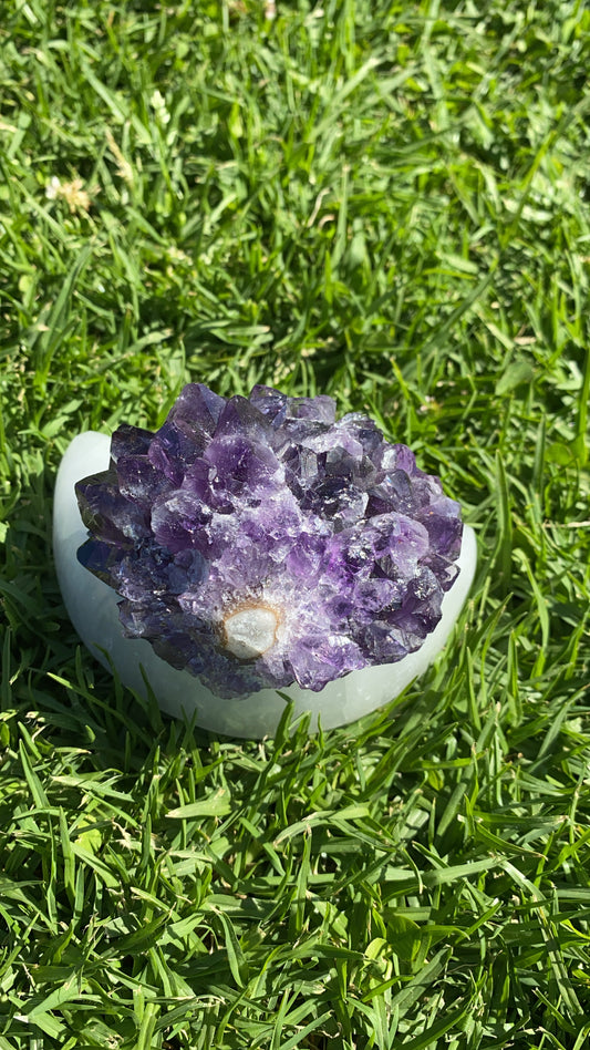 Amethyst Double Flower