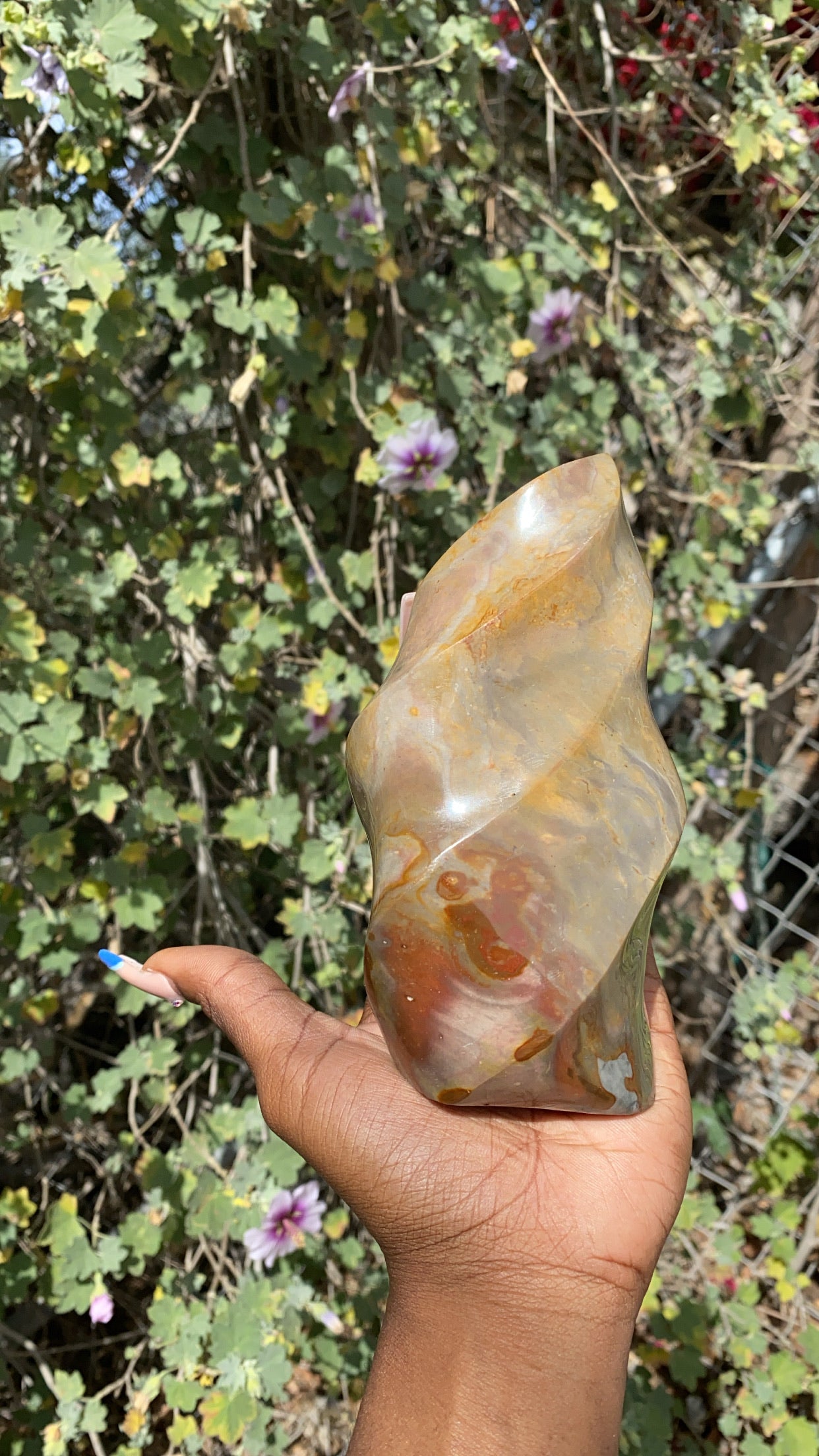 Ocean Jasper