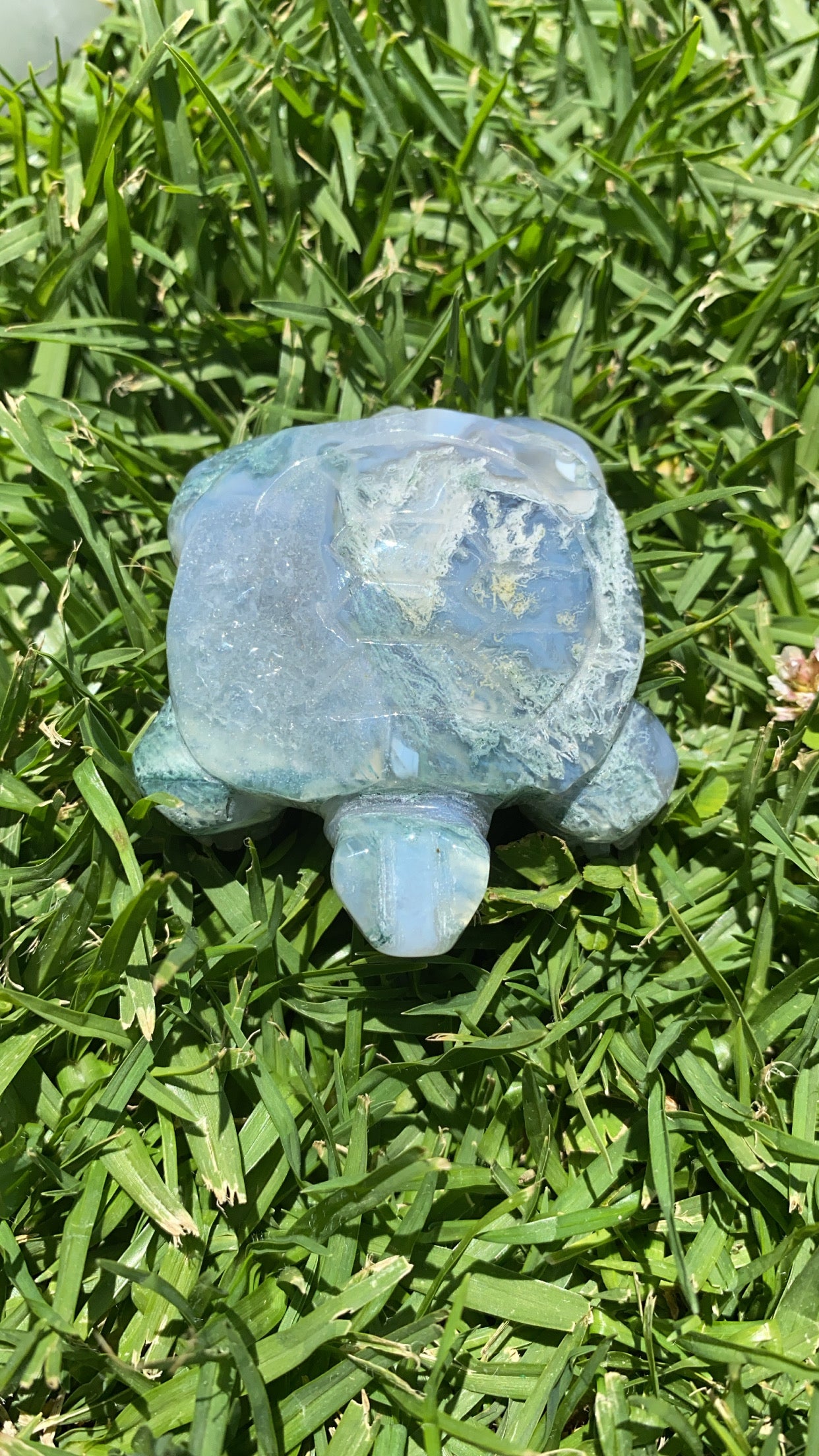 Mossy Agate Turtle