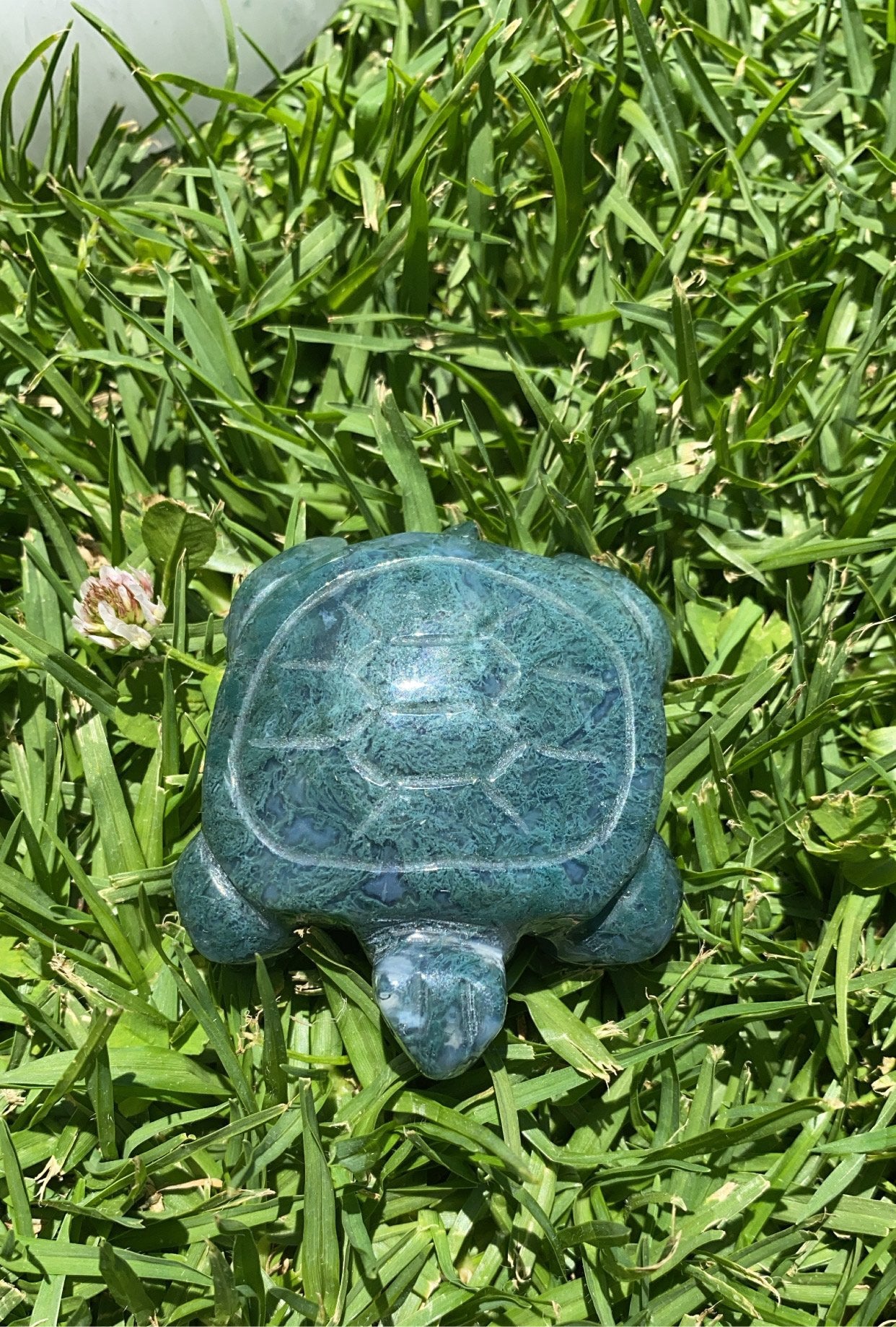 Mossy Agate Turtle