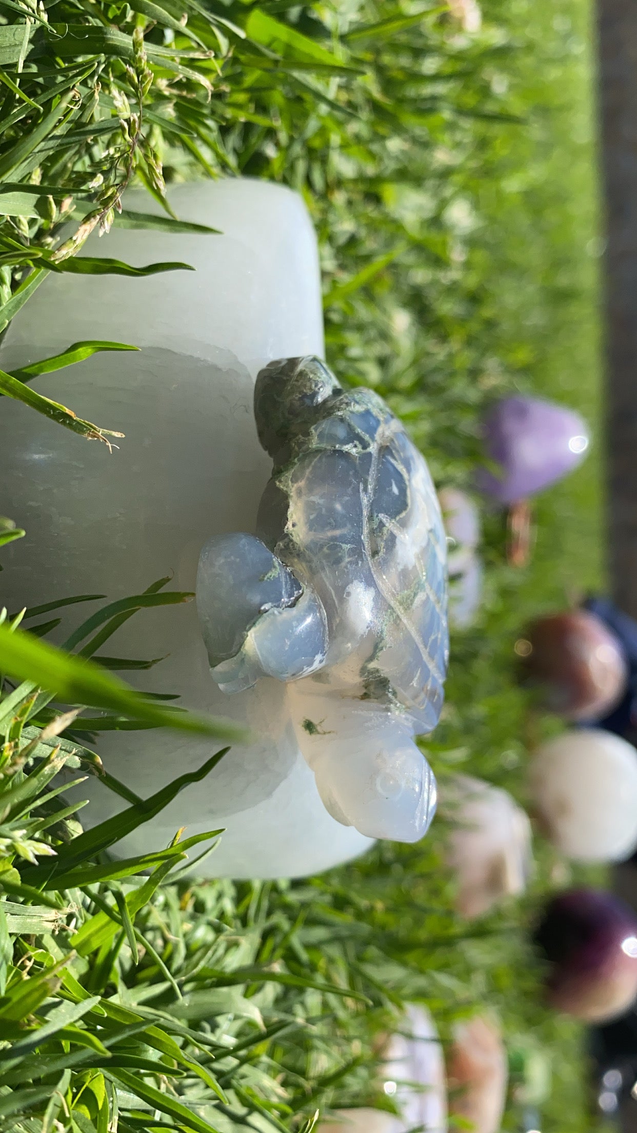 Mossy Agate Turtle