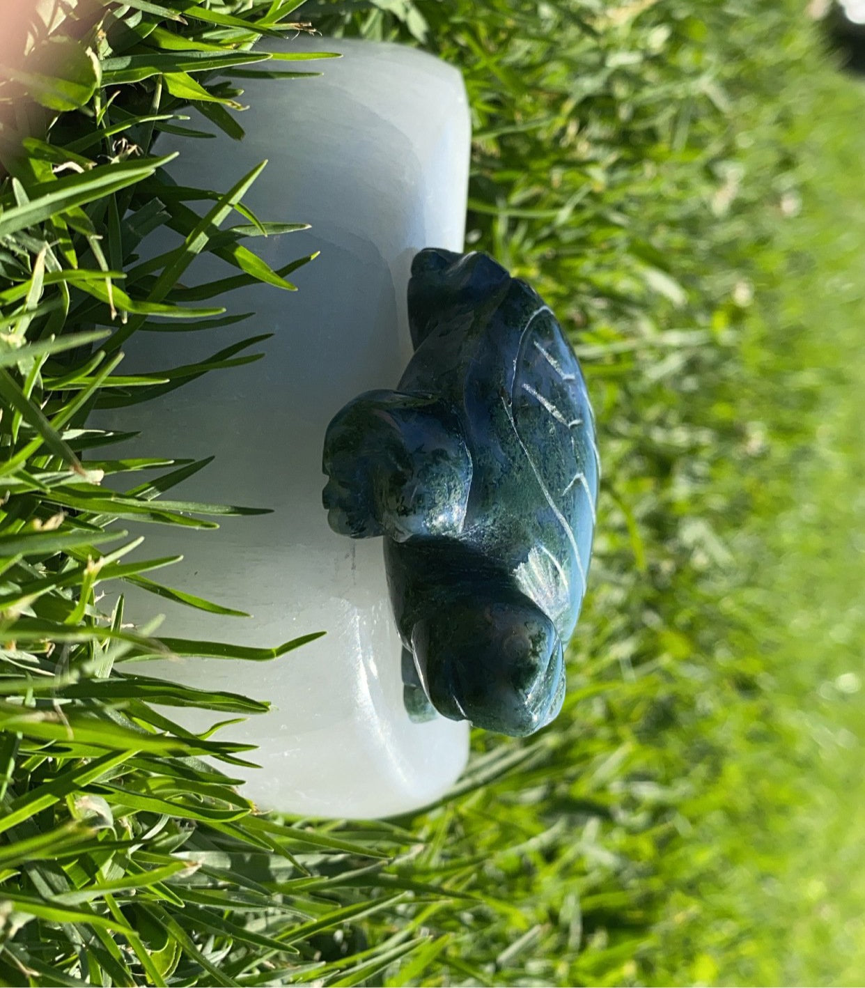 Mossy Agate Turtle
