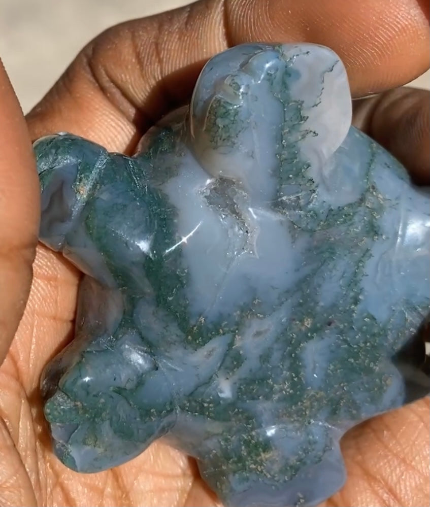 Mossy Agate Turtle