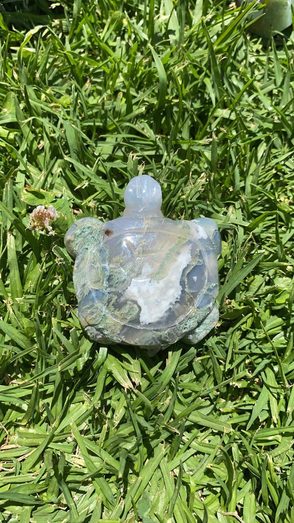 Mossy Agate Turtle