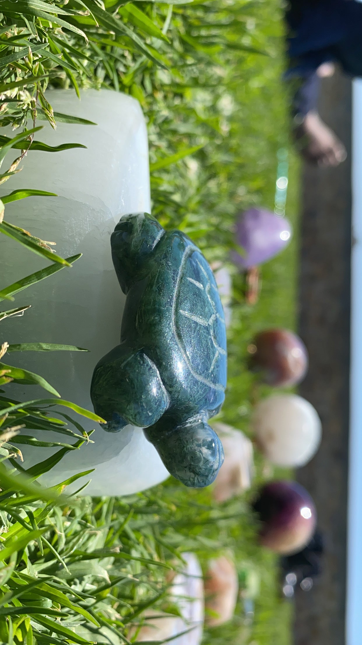 Mossy Agate Turtle