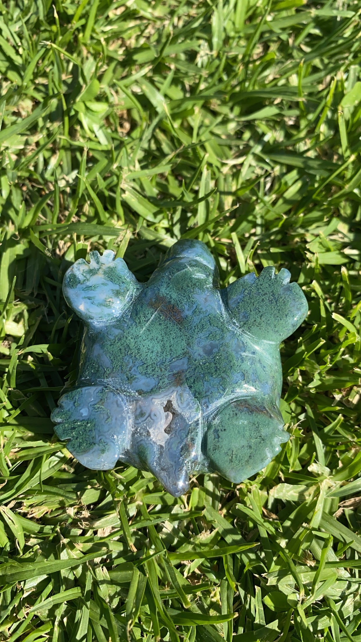 Mossy Agate Turtle