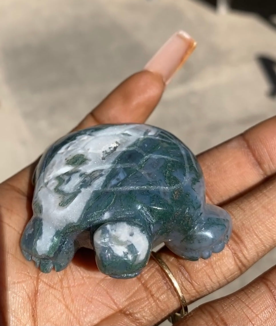 Mossy Agate Turtle